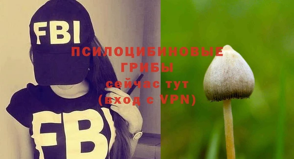 дурь Липки