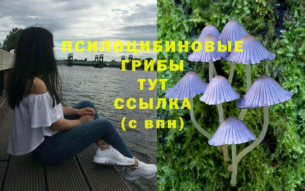 apvp Лихославль