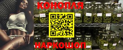 сатива Аргун