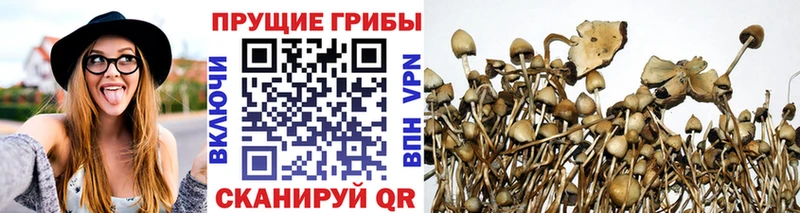 Псилоцибиновые грибы Magic Shrooms Ханты-Мансийск